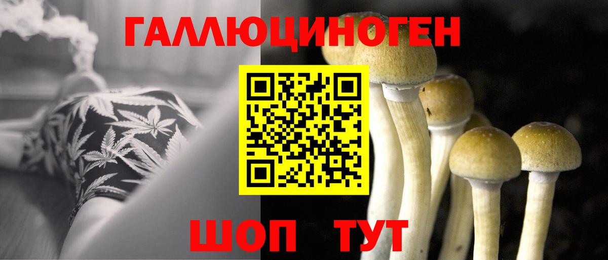 Уварово  Псилоцибиновые грибы Psilocybine cubensis  Галлюциногенные грибы мицелий  Вход с VPN 